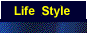Cyber life style